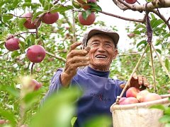 科技助农：丰收有甜头 致富有奔头